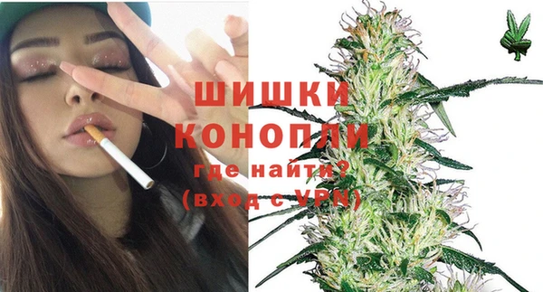 мдпв Михайловск