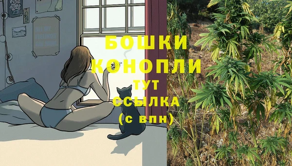 Альфа ПВП Михайлов
