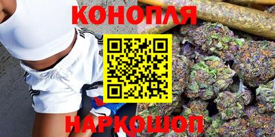 a pvp Заводоуковск