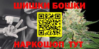 a pvp Заводоуковск