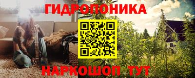 a pvp Заводоуковск