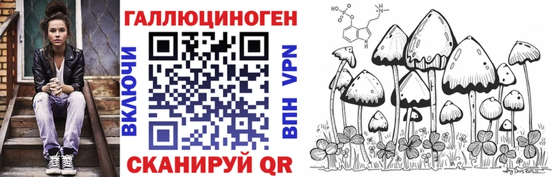 Псилоцибиновые грибы Cubensis  Нижневартовск 